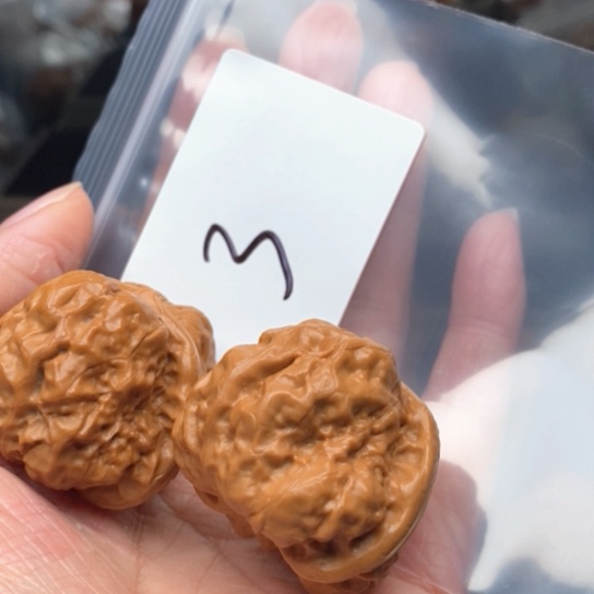 桃核吊坠3蛙蛙蛙蛙