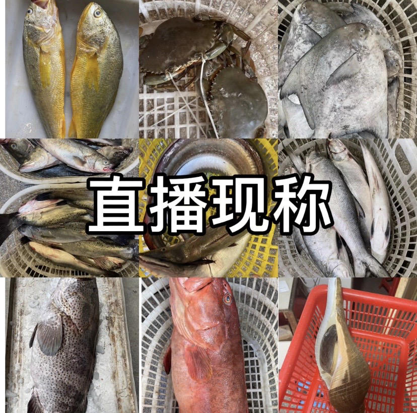 福建啊三海鲜【海鲜组合1号】现称 新鲜寄顺丰
