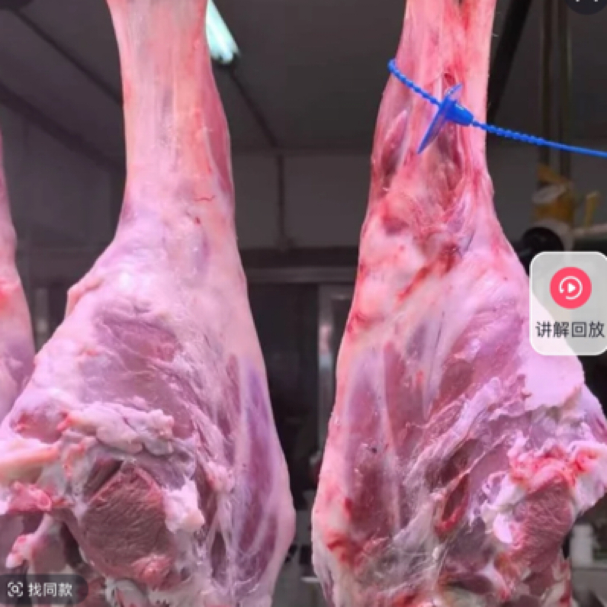 【精品鲜羊后腿】1个 约6斤