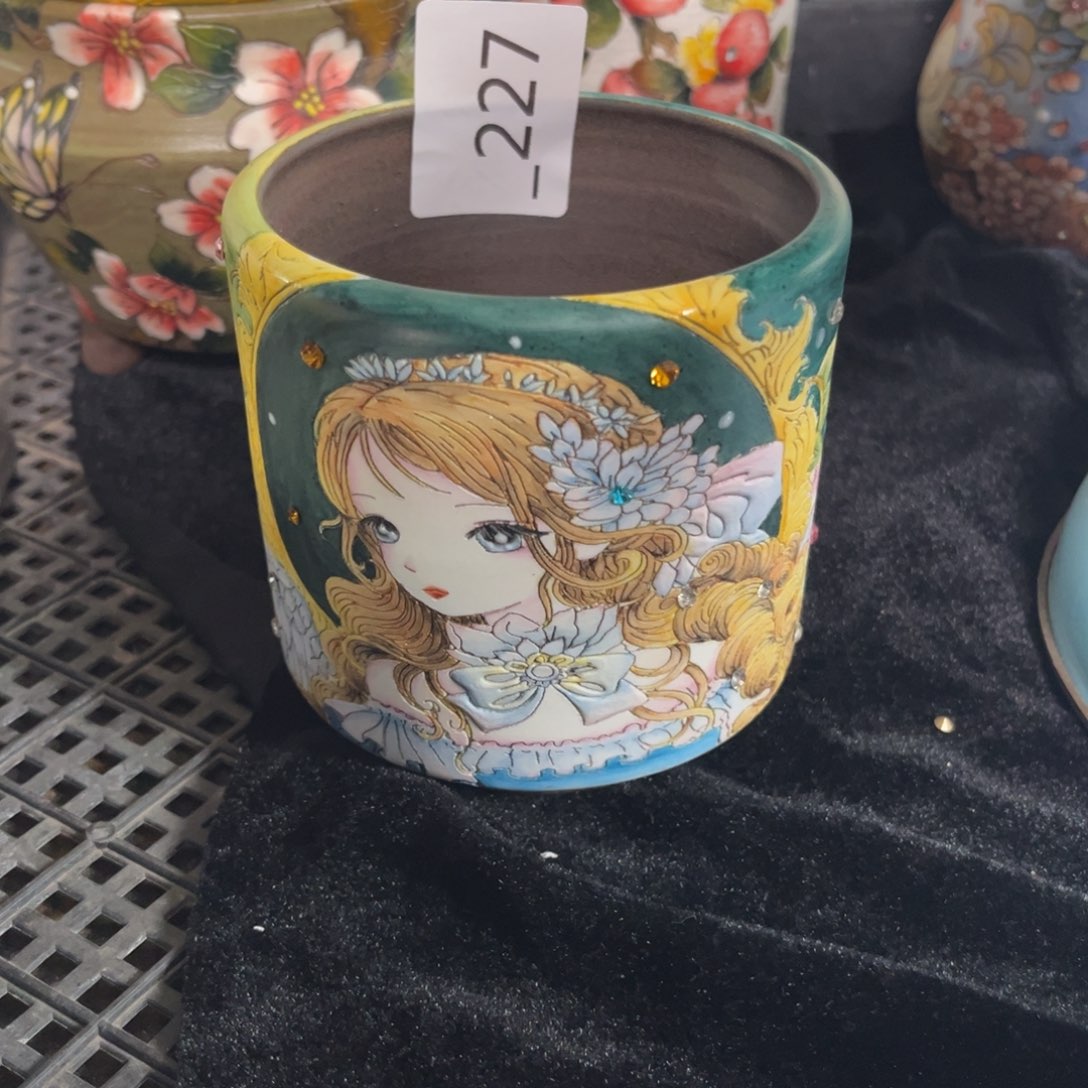 炸***多227多肉花盆165元1个