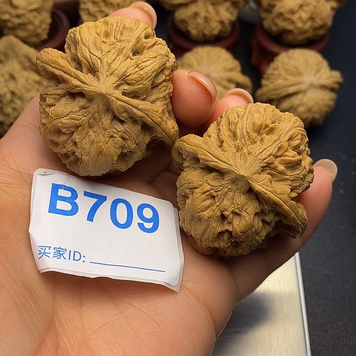 民***哥文玩核桃把件华北将军榜4.4