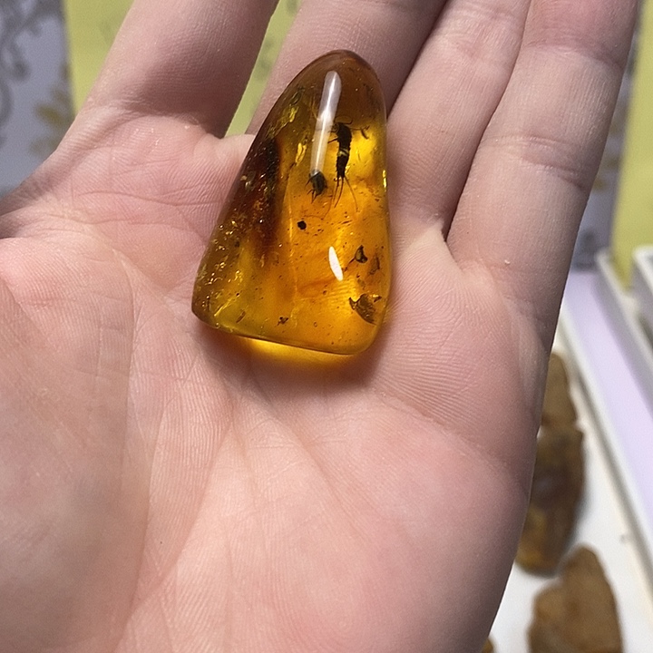 轻***山定制琥珀虫珀原石