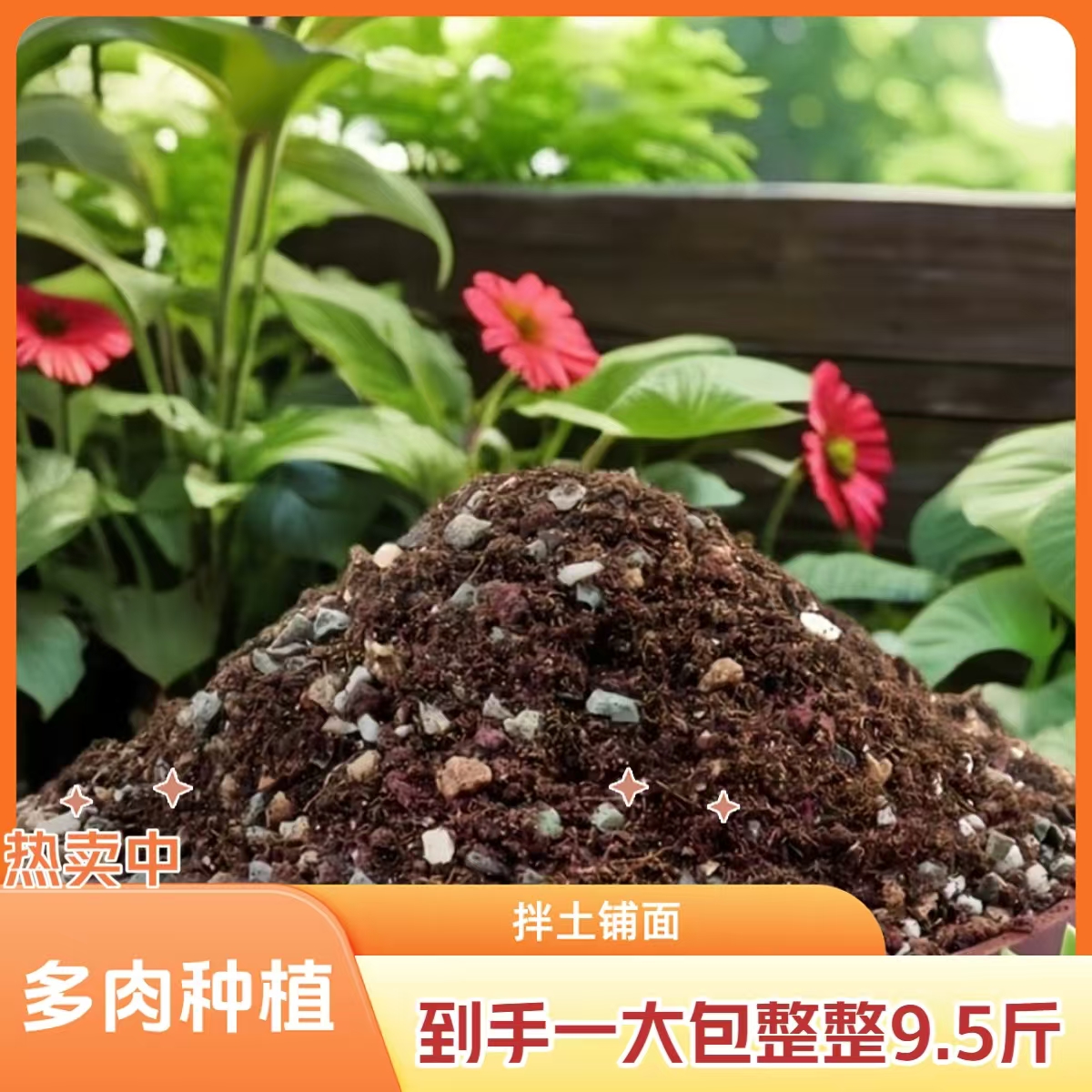 多肉专用（70%颗粒土）买5斤送4.5斤  多肉绿植专用优质功能升级版