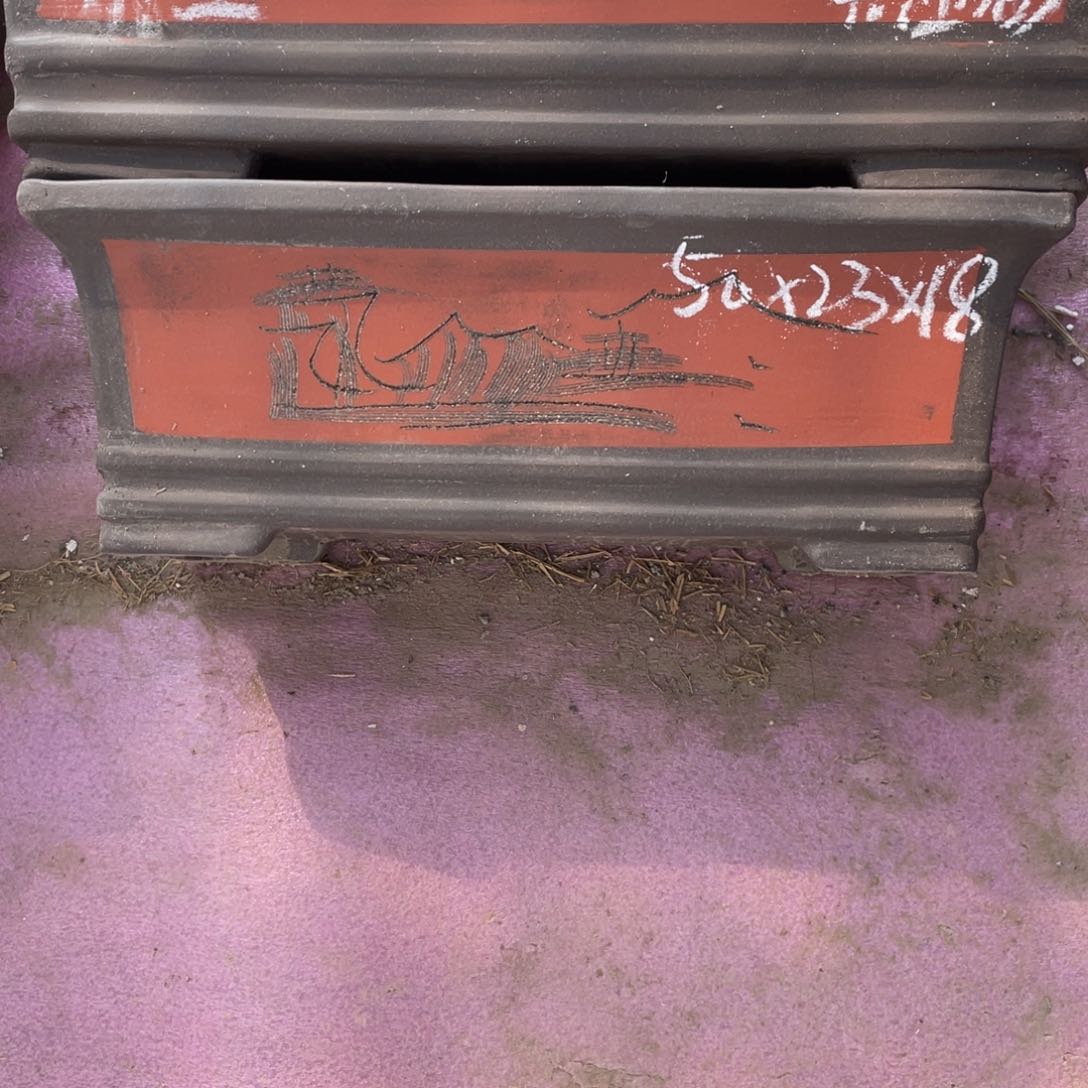 紫砂虎*黑金砂 50条盆 俩支