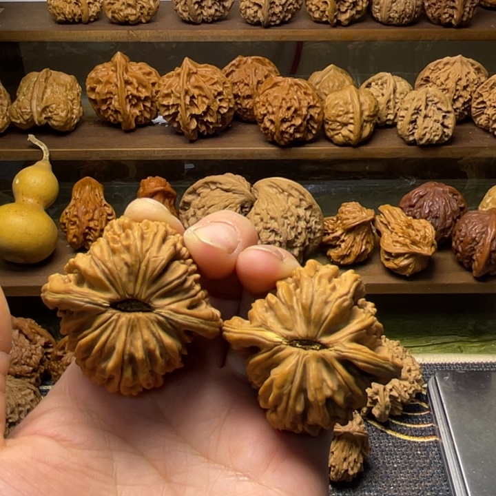 四座楼全品45.42.39