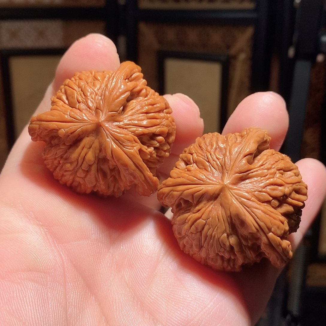 文玩核桃把件43虎头奔