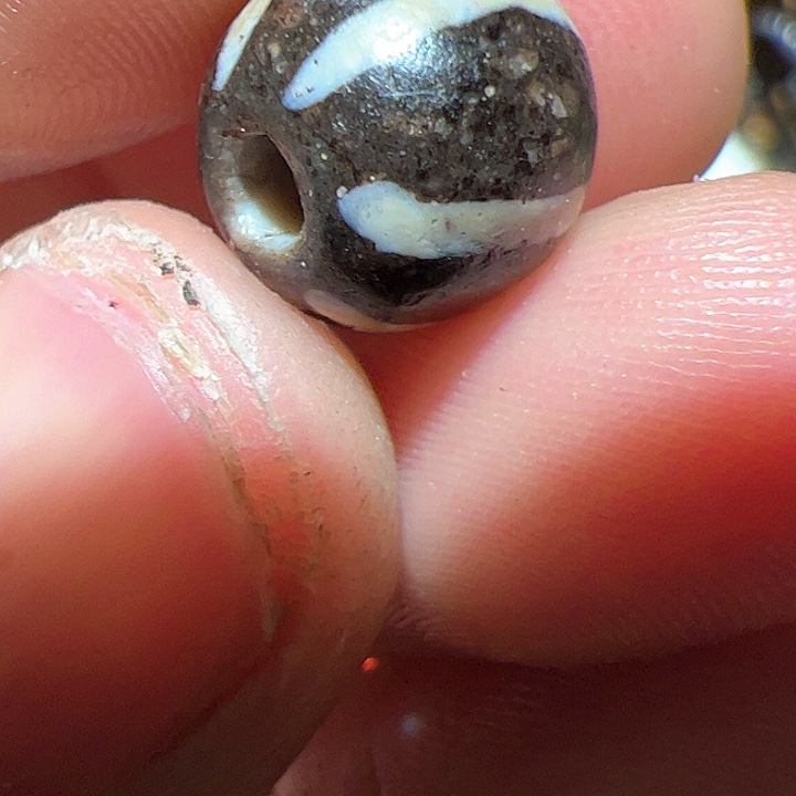 香榧木你的时候你