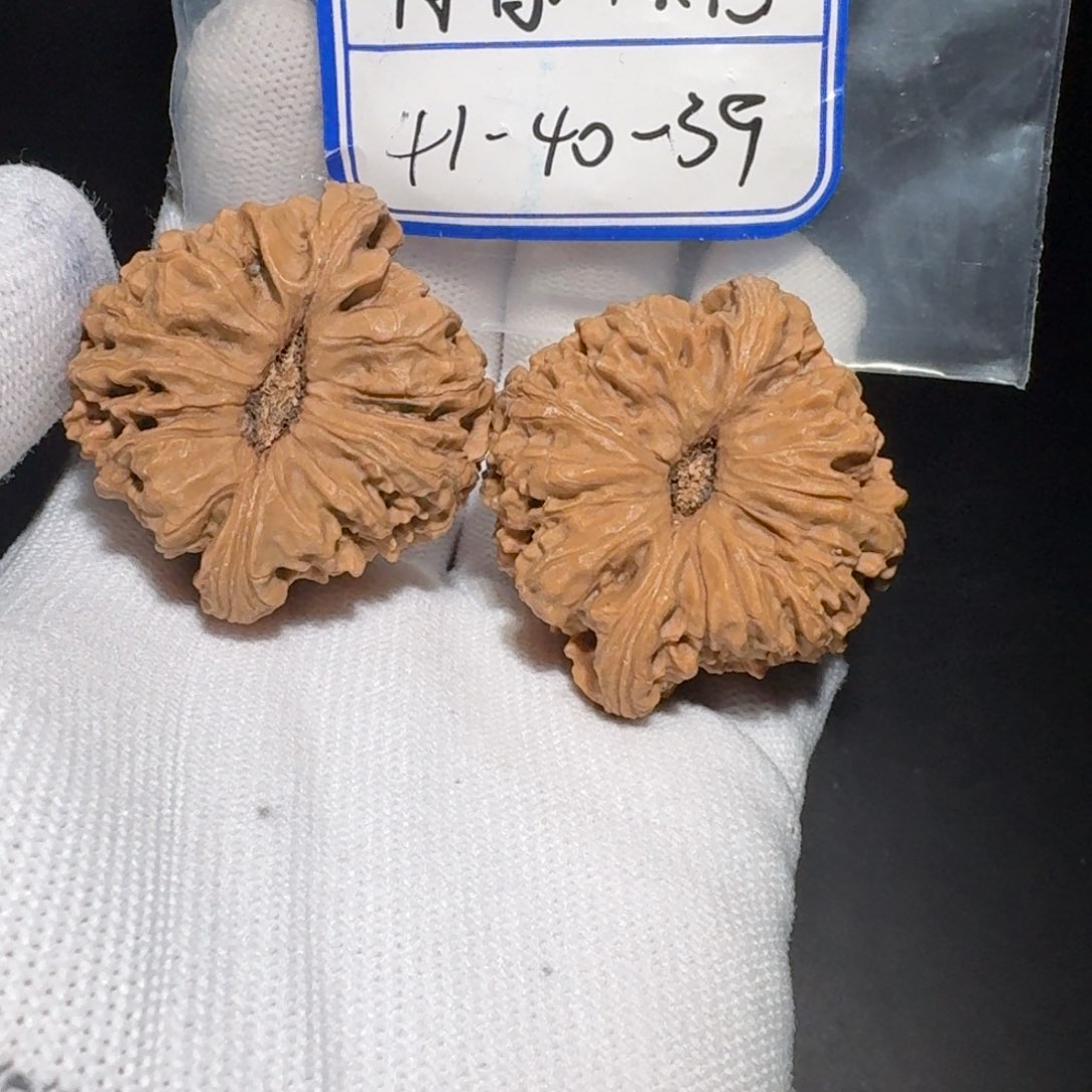 文玩核桃把件26号村将hs