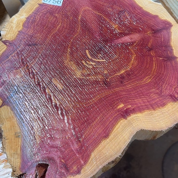 核桃木/黑胡桃（胡桃木）血柏456