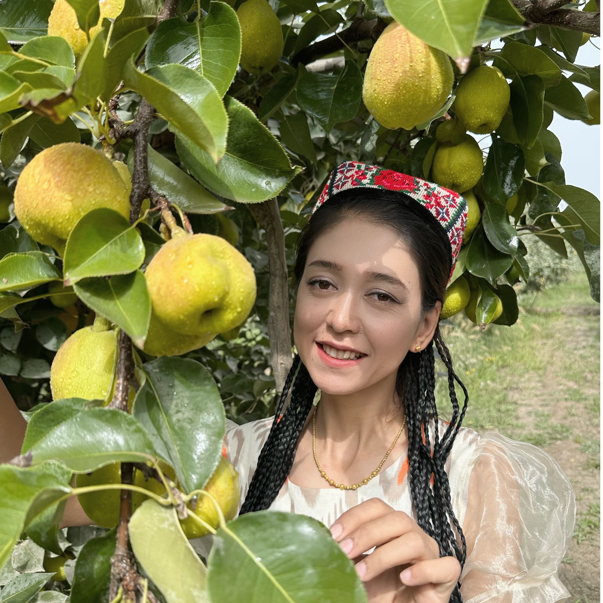 新疆库尔勒香梨顺丰包邮