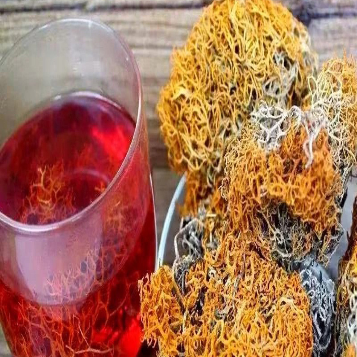 【老伍山货】农家红雪茶可泡水泡茶