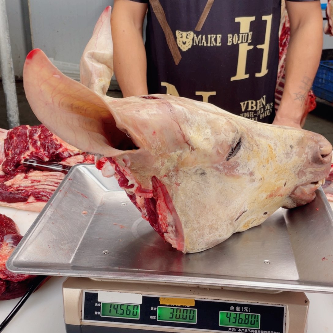 【闪购商品】冷冻保存30天包装河北省