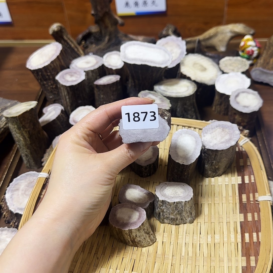 手串/手链鹿骨1873根段