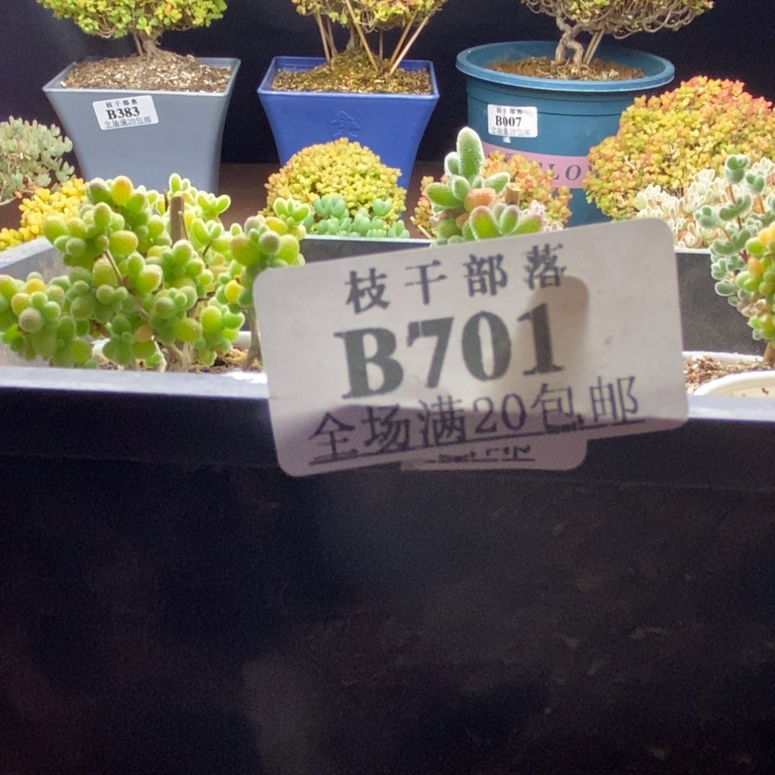 六棵套餐701。          