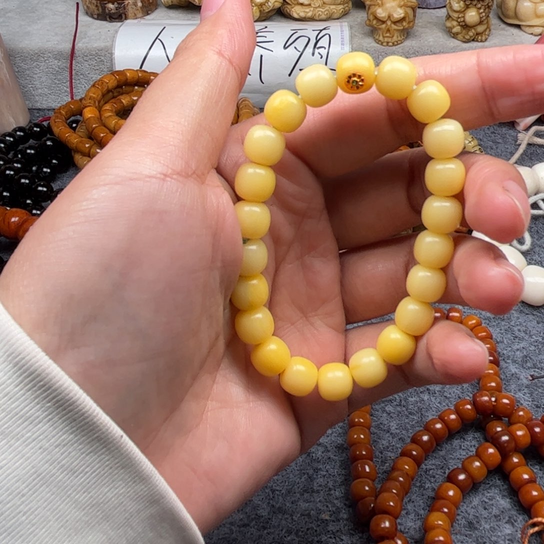 鹿骨其他人工养殖驼骨51