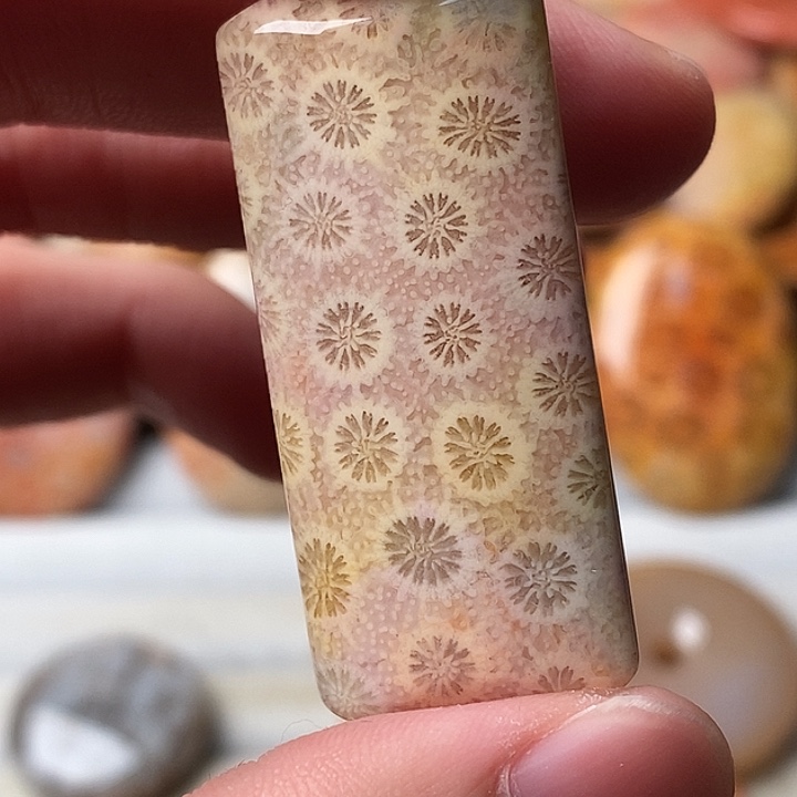 大***欣硅化珊瑚未镶嵌颈饰
