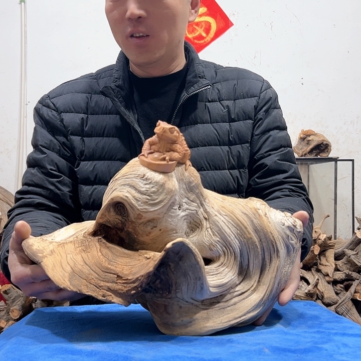 柏木华*我们的生活也是如此