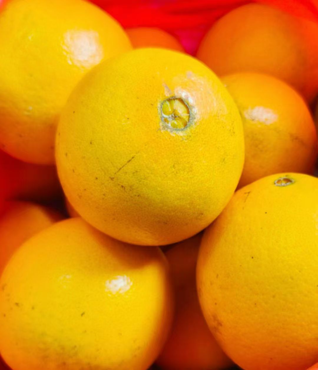 果园直发正宗赣南脐橙生态脐橙香甜多汁当季新鲜水果
