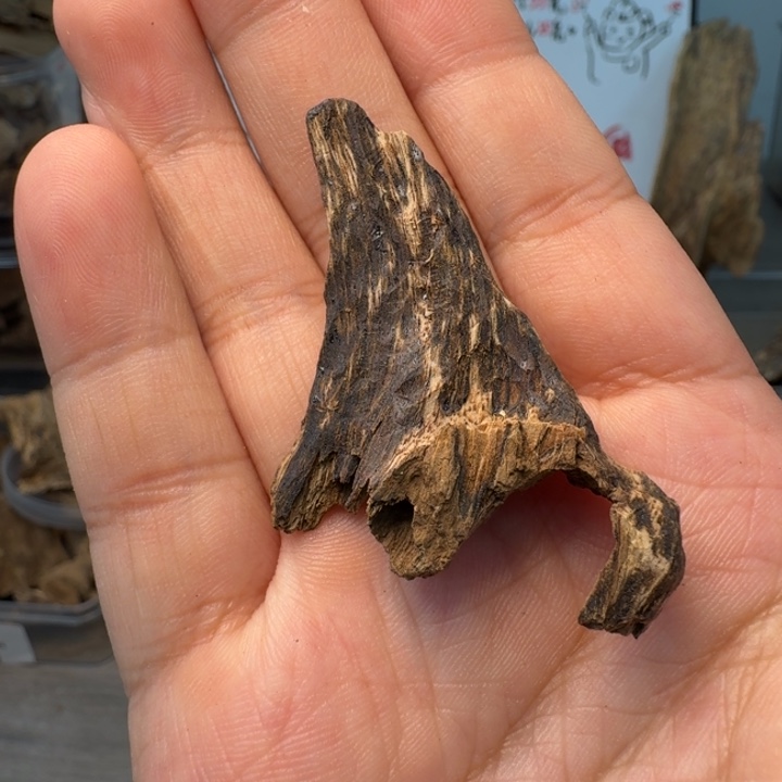 缅甸蜜汁那九分沉1.5克，蜜花香，人参凉韵