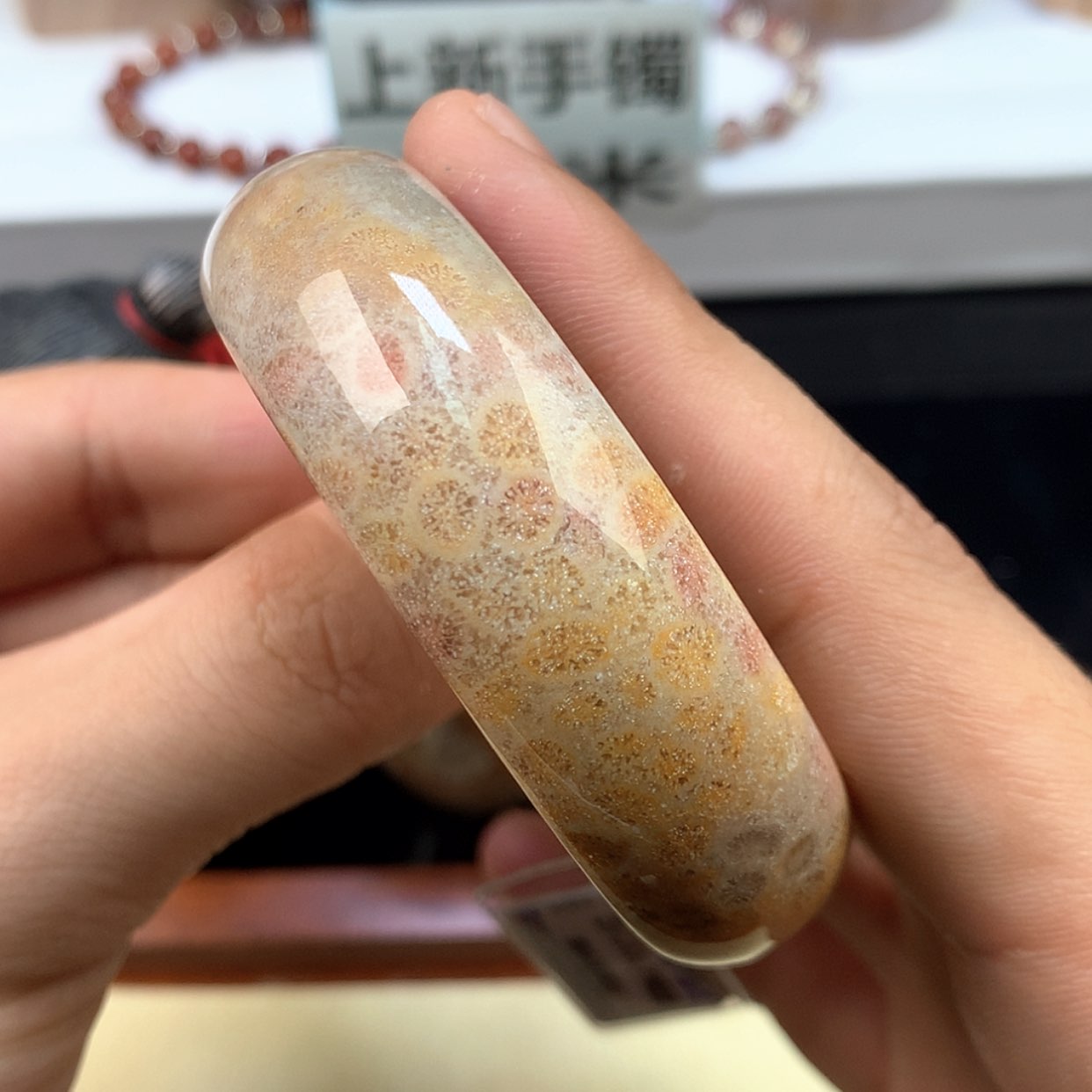 【闪购商品】颈饰未镶嵌硅化珊瑚（珊瑚玉）9号沙沙料超好养54.5圈