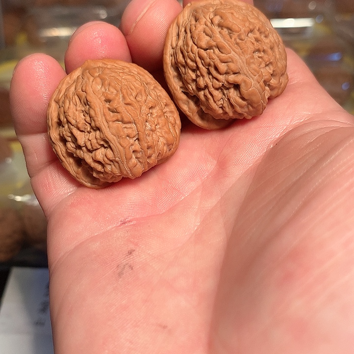 文玩核桃吊坠34红玛瑙