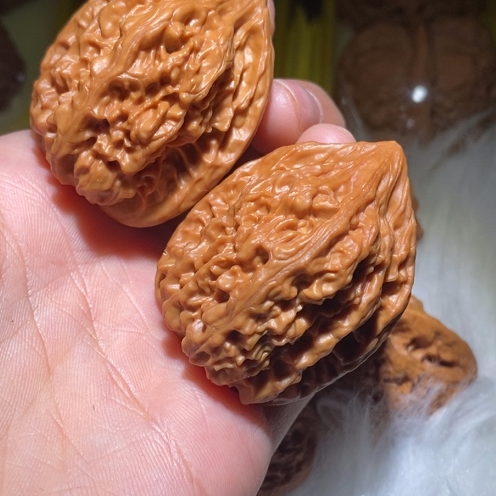 远***）文玩核桃吊坠精品课程建设和课程