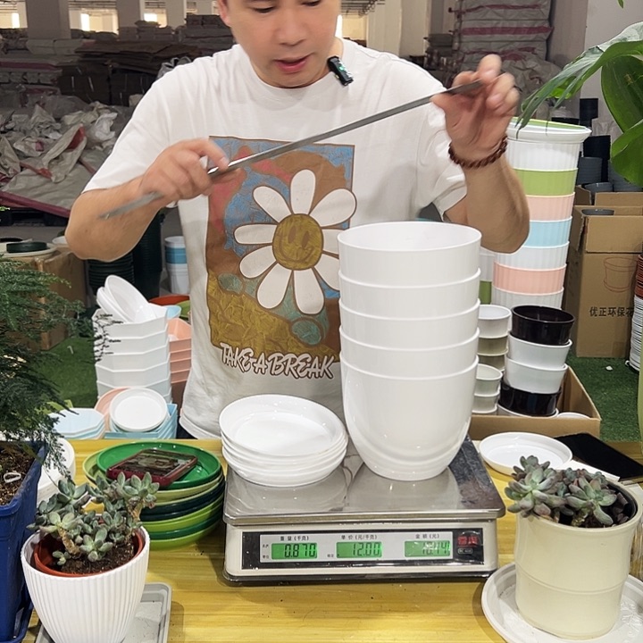 鸡蛋口17高15白色带托5个