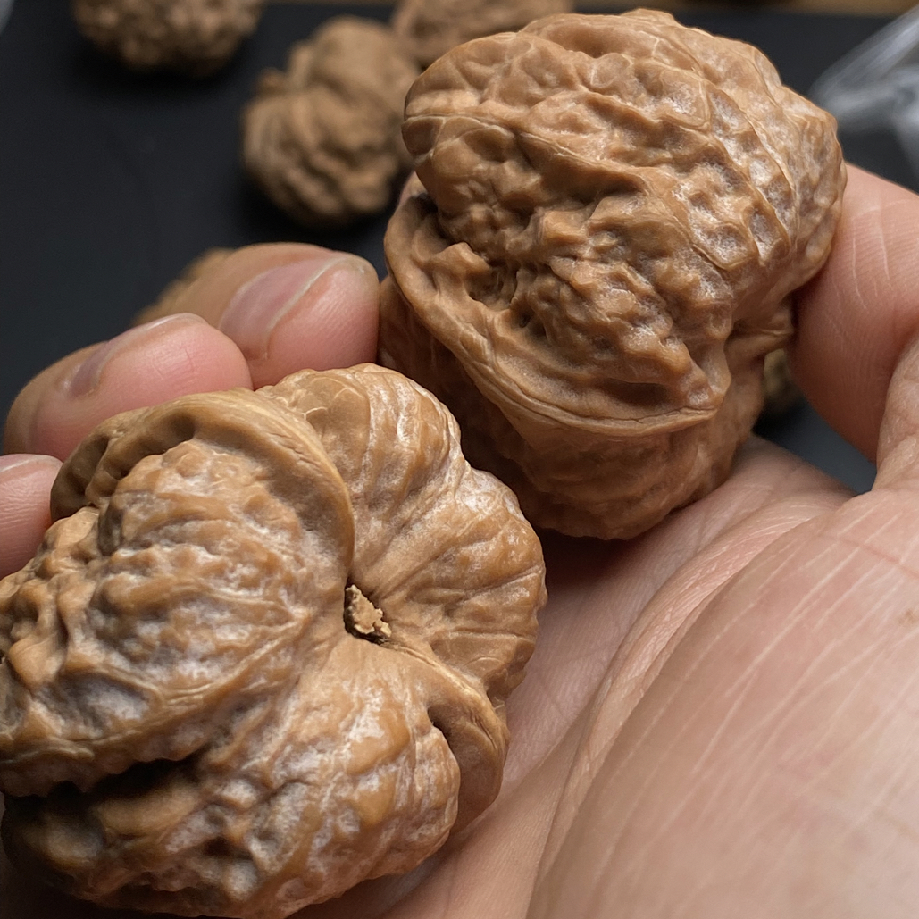 麻核桃文玩核桃链接专属