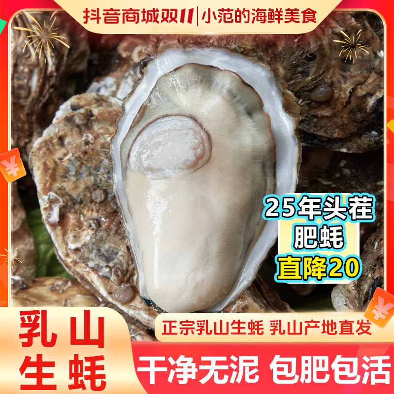 【小范海鲜】 乳山生蚝牡蛎 源产地现捞直发顺丰鲜活到家 5斤/8斤装