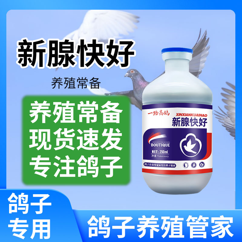 【一陆高歌】新腺快好鸽子拌料饮水营养健康使用纯植物提取信鸽赛鸽