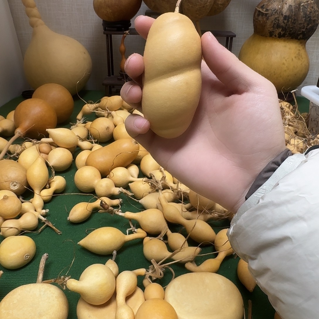 说***币葫芦1111111111111