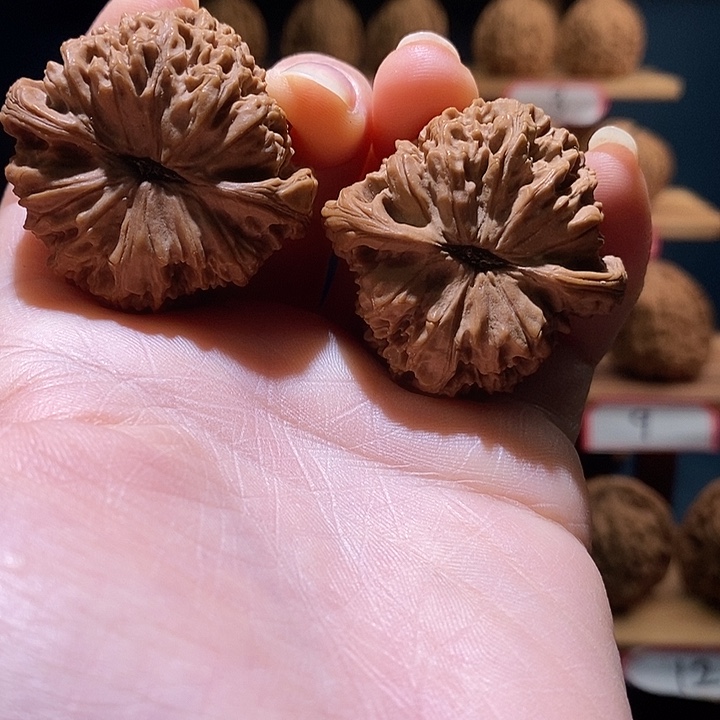 我***良南将石文玩核桃三角40