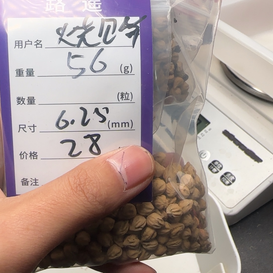 烧***脊吊坠柏香籽/百香籽