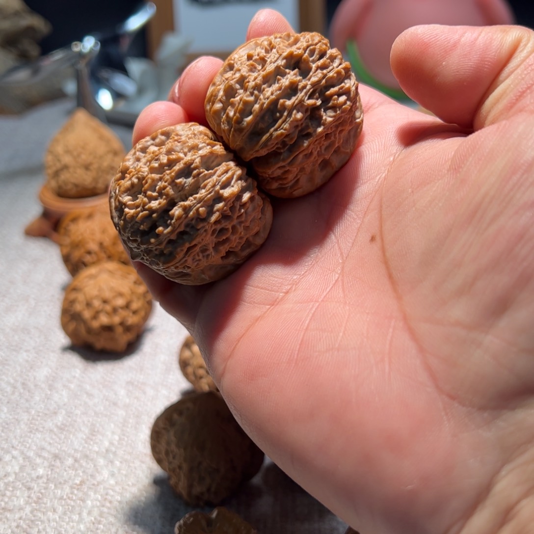 文玩核桃把件全品38。137