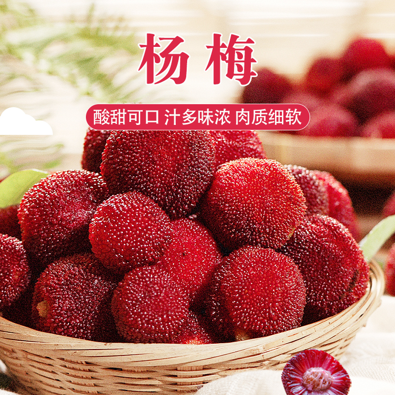 【坏果包赔】云南东魁杨梅中果净重2斤/斤5斤