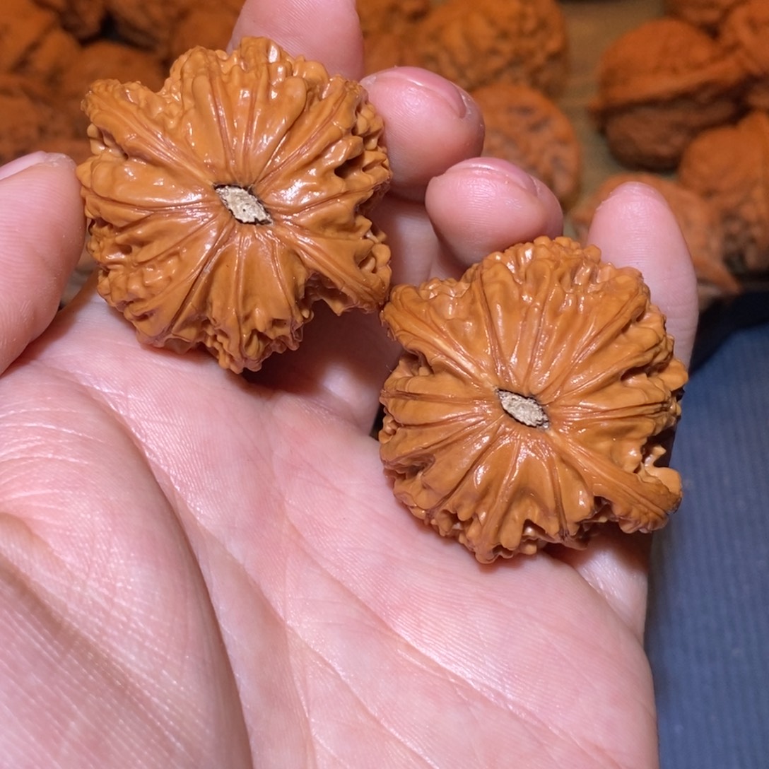 42尺 全品打好底 正磨