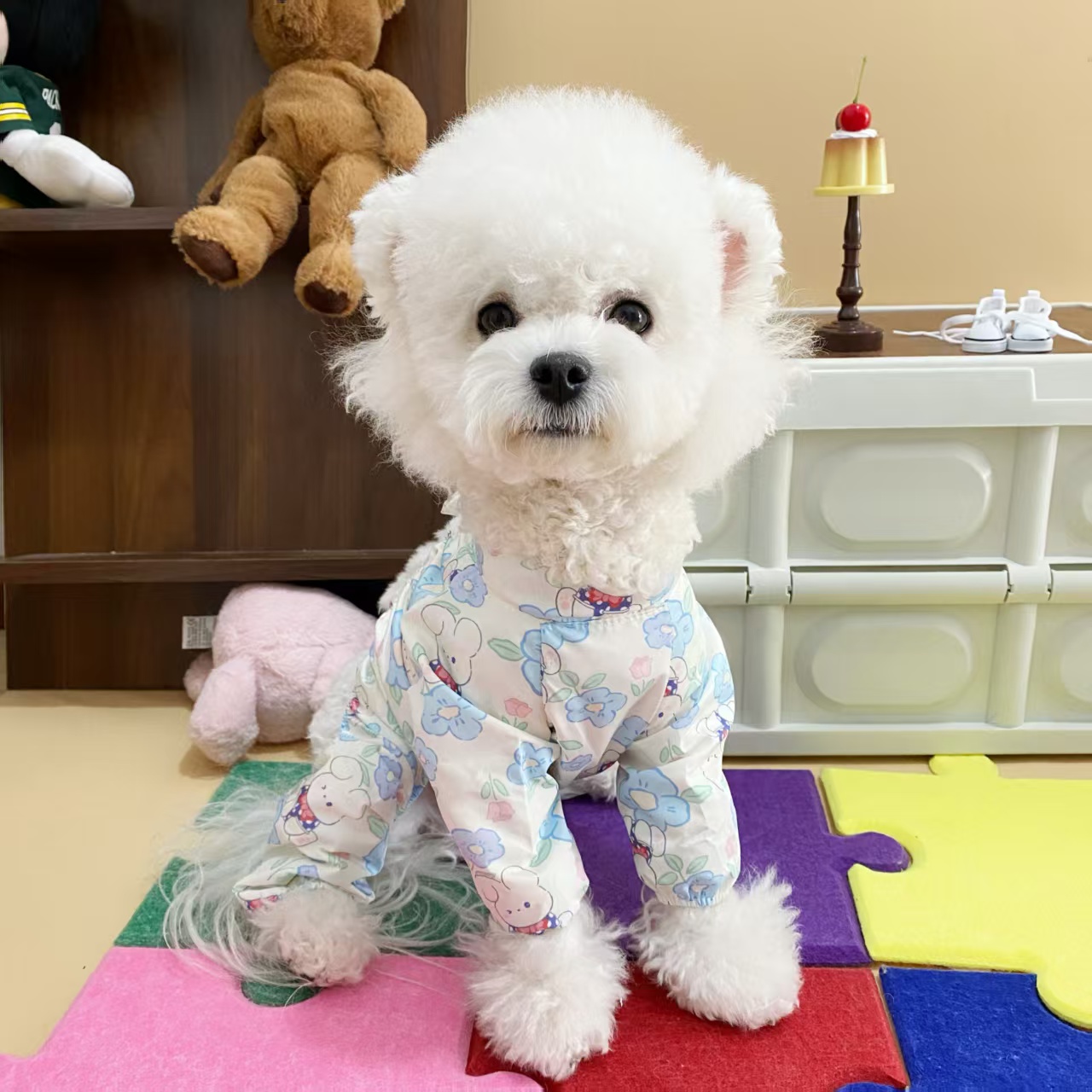 宠物春夏季防尘衣薄款魔术贴中小型犬狗狗专用遛弯裤雪纳瑞比熊