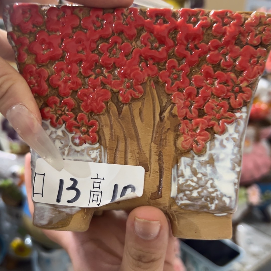 爱退拉黑多肉满20发货