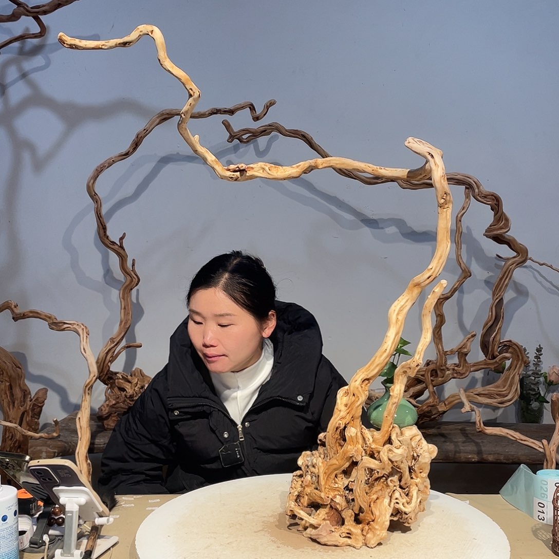 核桃木/黑胡桃（胡桃木）星****法
