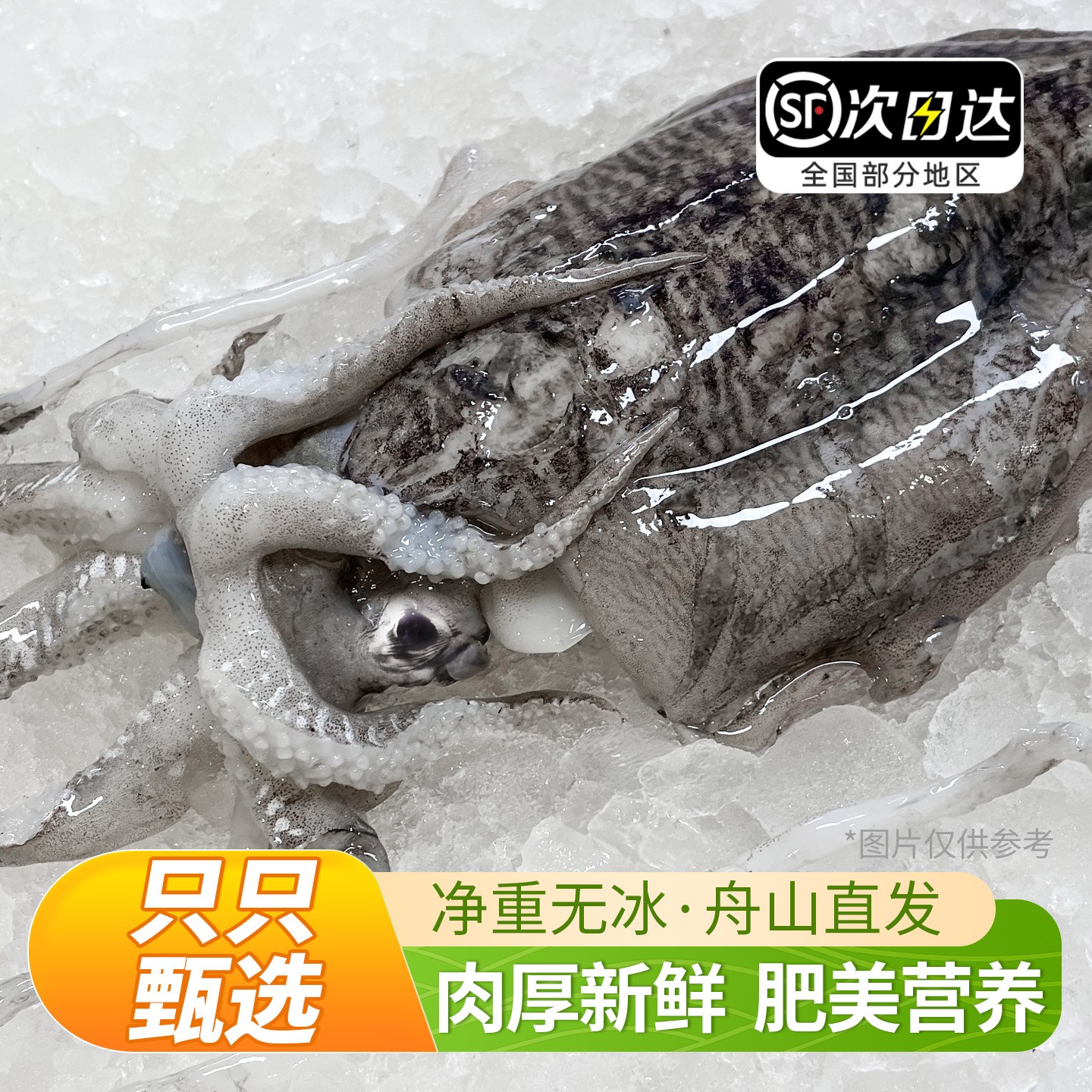 【胖妹专属】舟山原汁墨鱼东海深海新鲜海捕目鱼整只肉质肥厚