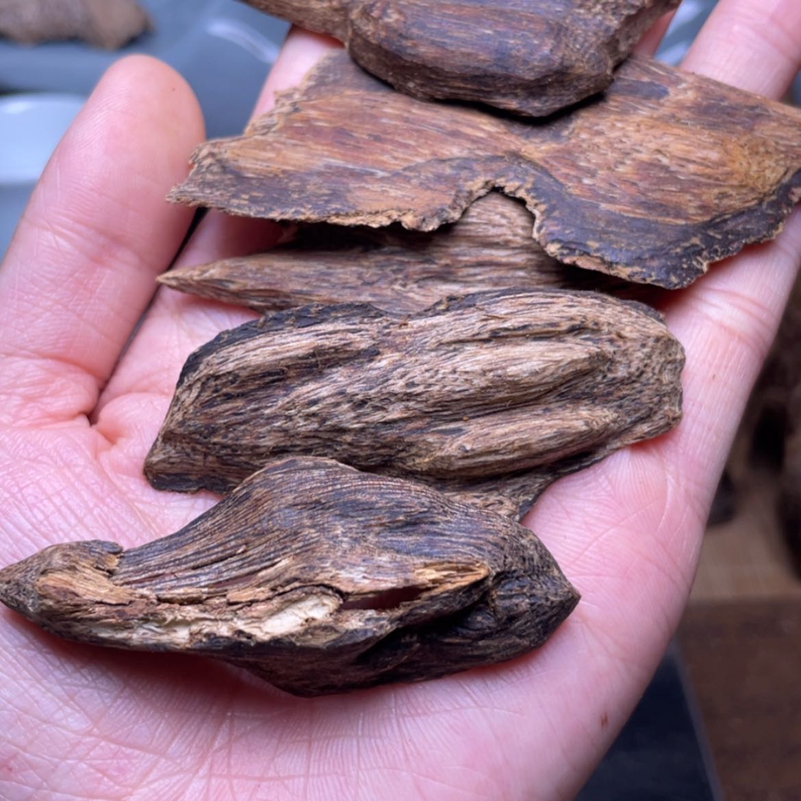 【闪购商品】香榧木海南黎母山棋楠泡13克