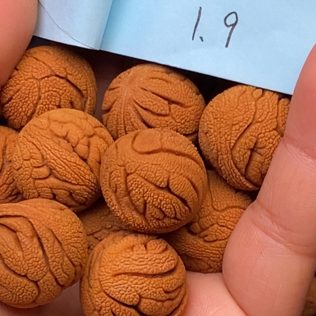 秦岭龙纹桃核14颗