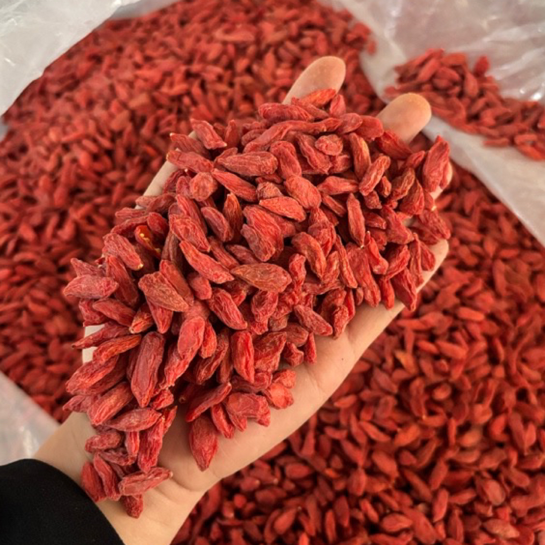 宁夏中宁头茬新货枸杞大果正宗无硫免洗可泡茶泡酒滋补