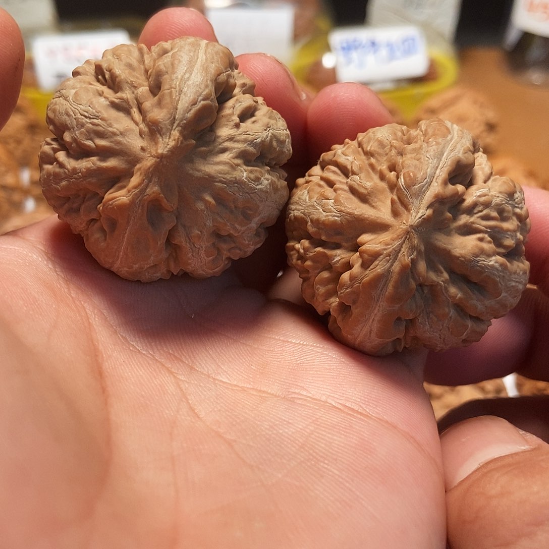 文玩核桃吊坠40全品霸王龙。20