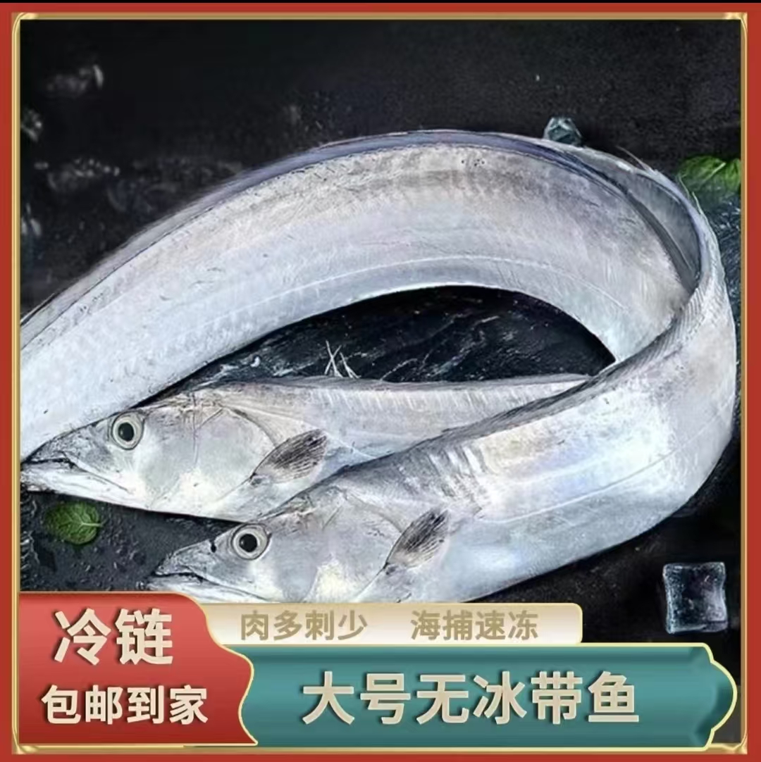 【付S】野生小眼油钓带鱼 5两/条左右  整条香煎油炸  无冰顺丰包邮