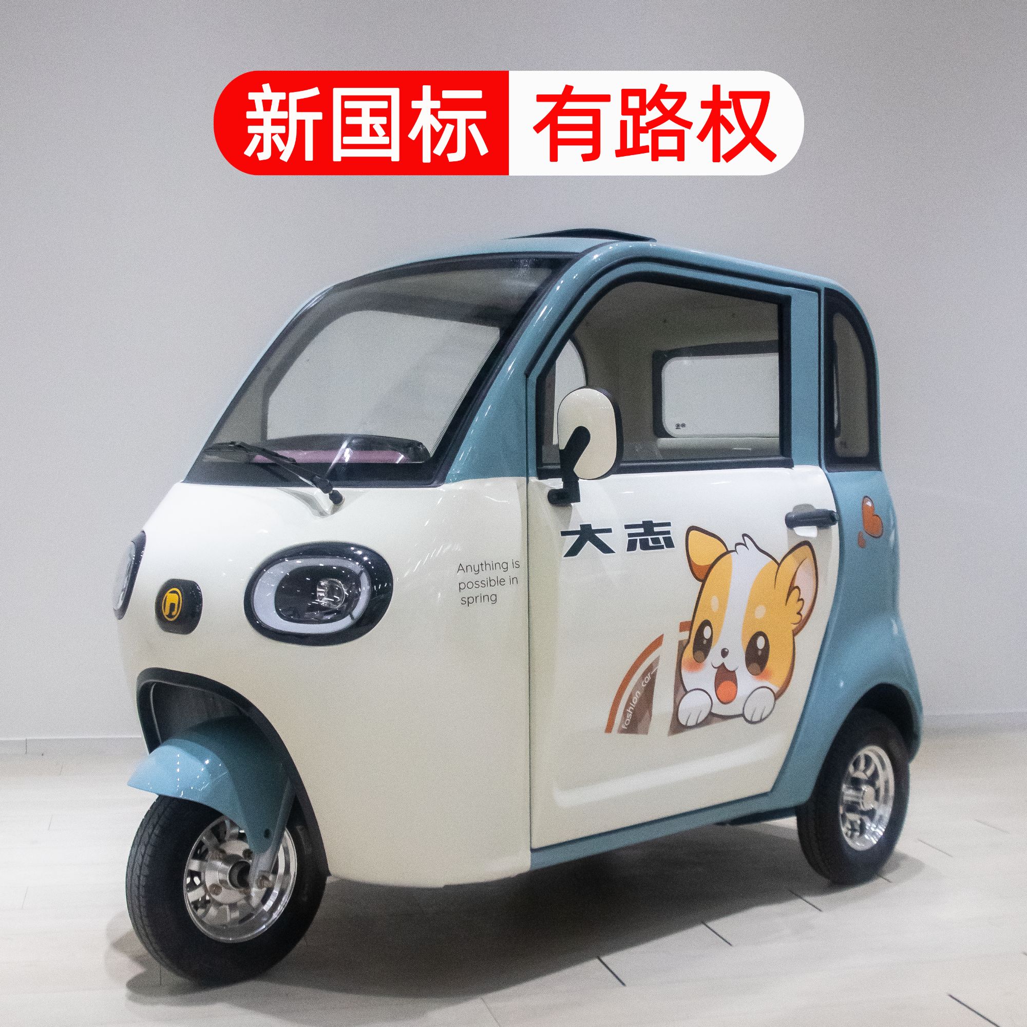 新款雪封闭电动三轮车家用通勤可上牌家庭代步接送孩子成人代步车