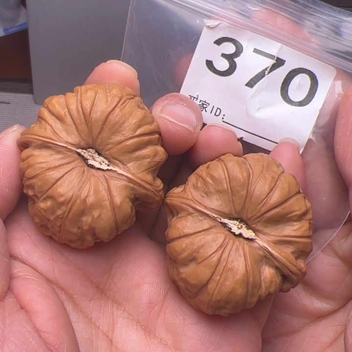 核桃40边43肚370号全品南瓜饼