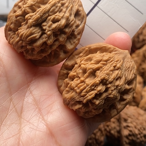 桃核吊坠40全品麦虎核桃