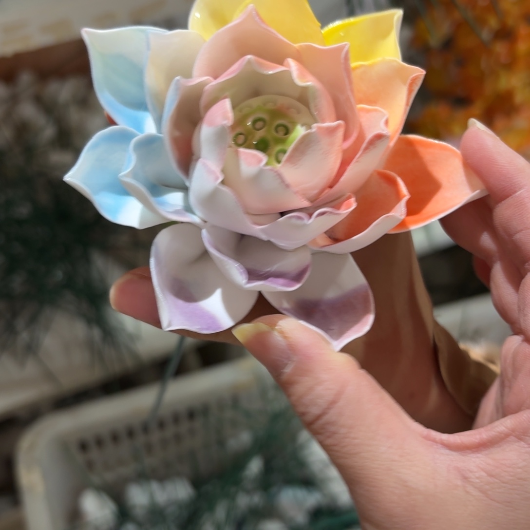 陶瓷花拍满20元爱退款拉黑