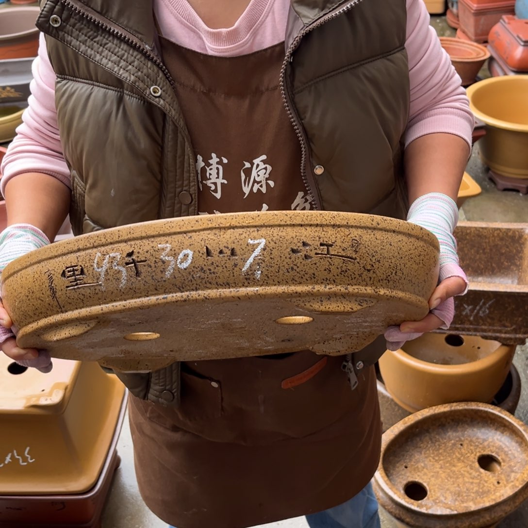 花盆紫砂盆景艺术